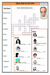 mathematical modelling of immune