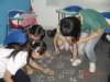 dsc02579_small.jpg